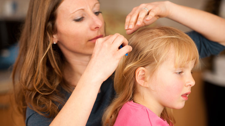 Head Lice Can Seem Stressful But Is Usually Easily Treatable | Premier  Health