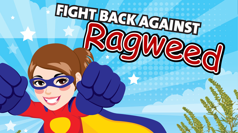 Ragweed-760x427 Ragweed-760x427