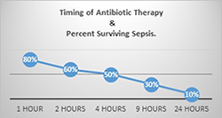 Sepsis image Sepsis image