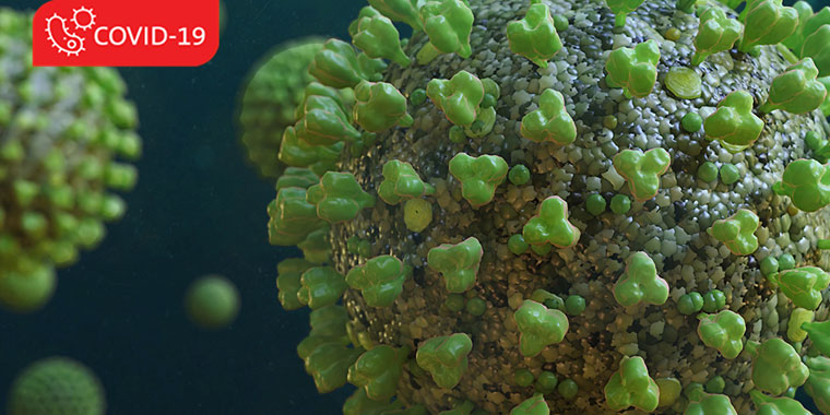 P-C-MKT03241-Coronavirus_bug-01_1024x512 Coronavirus