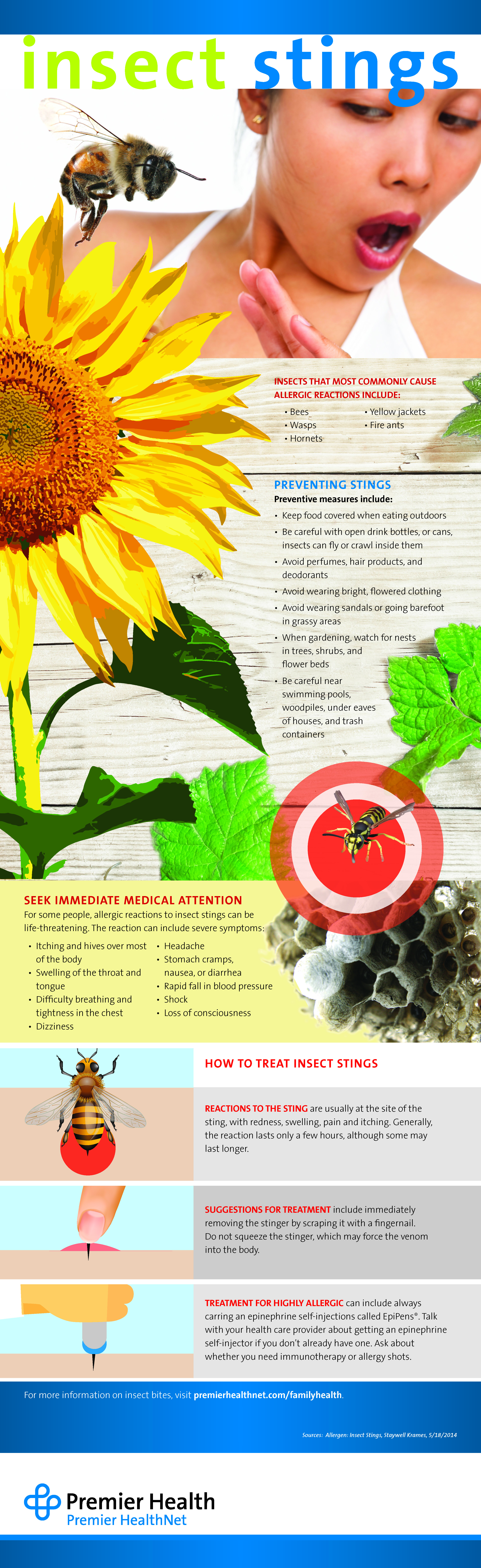 Insect Sting - Infographic Insect Sting - Infographic