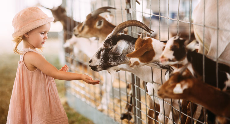P-W-WMN02961-Zoonotic-Diseases-lg