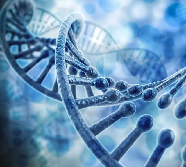 The Lowdown on Lynch Syndrome and Cancer | Premier Health