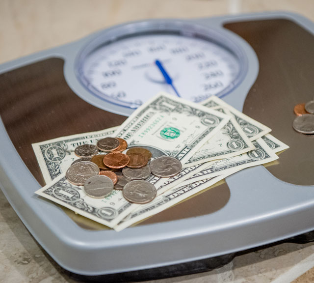 Diet Program small Diet Program small