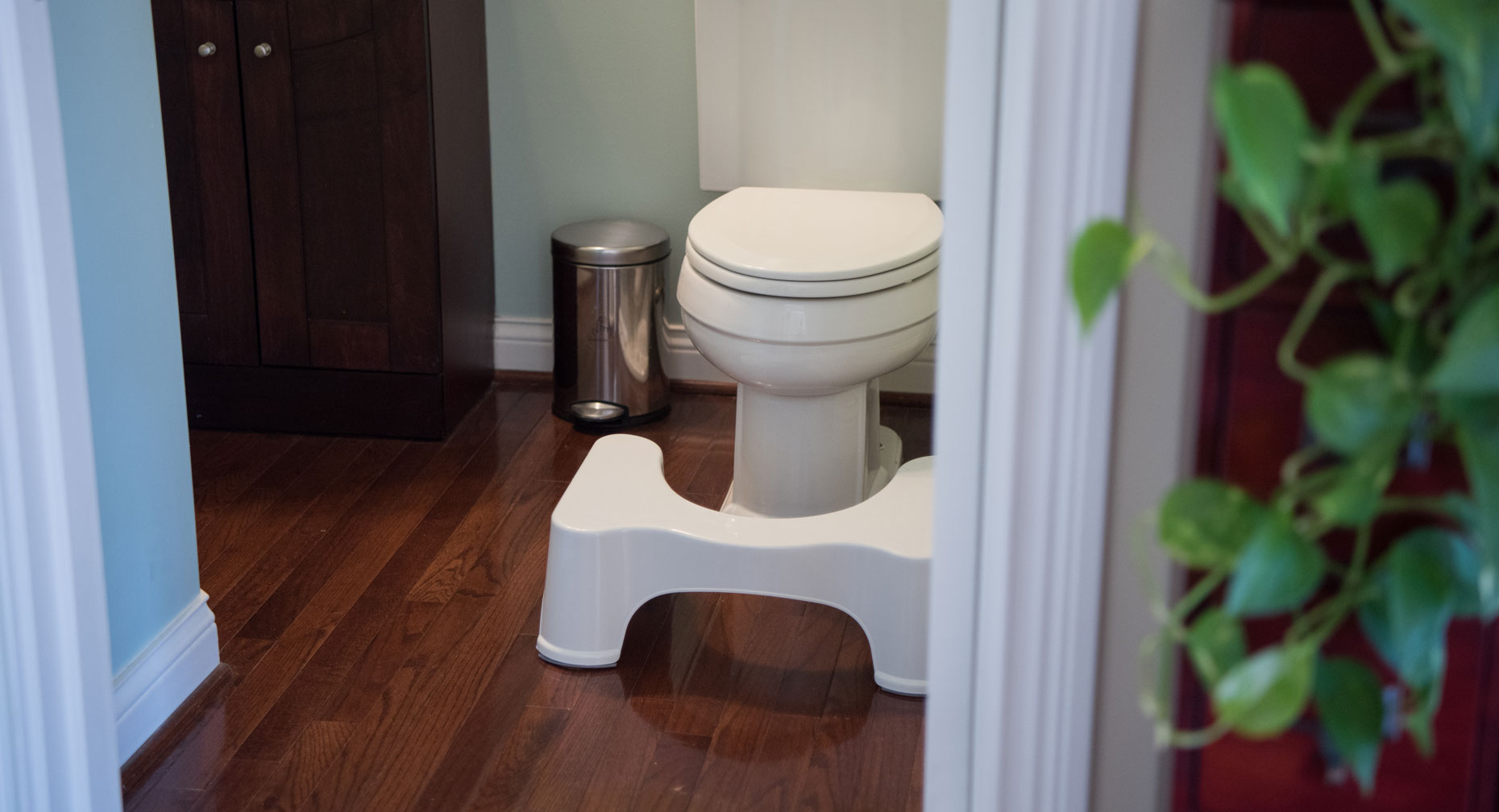 Squatty Potty® Gimmick or Game Changer? Premier Health