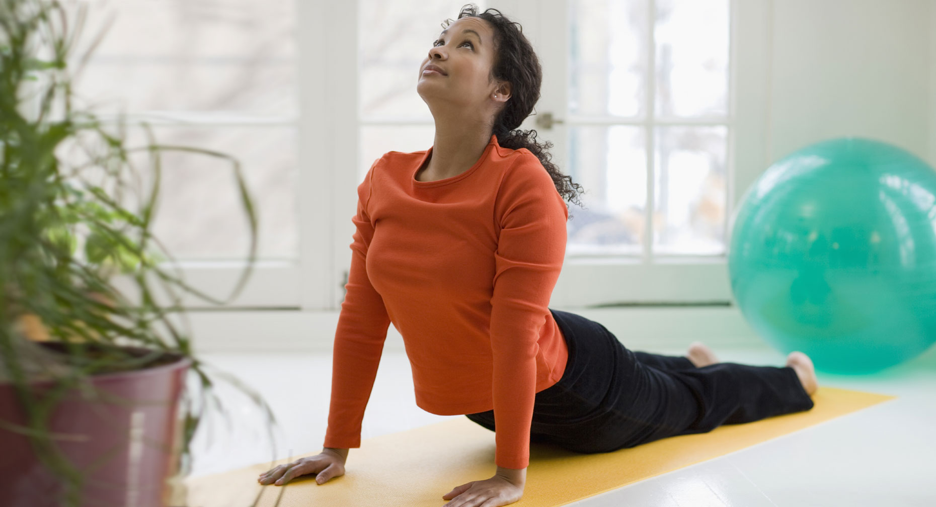 p-w-wmn80539-spinal-cord-mind-body-connection-lg
