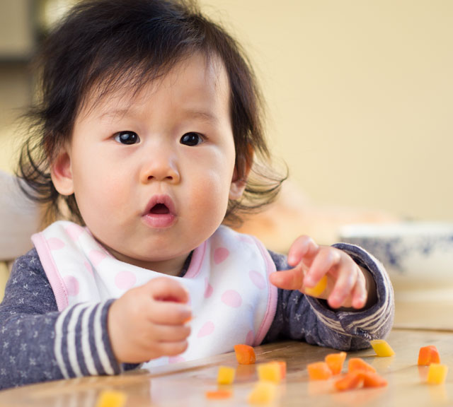 Baby Ready for Solid Foods small Baby Ready for Solid Foods small