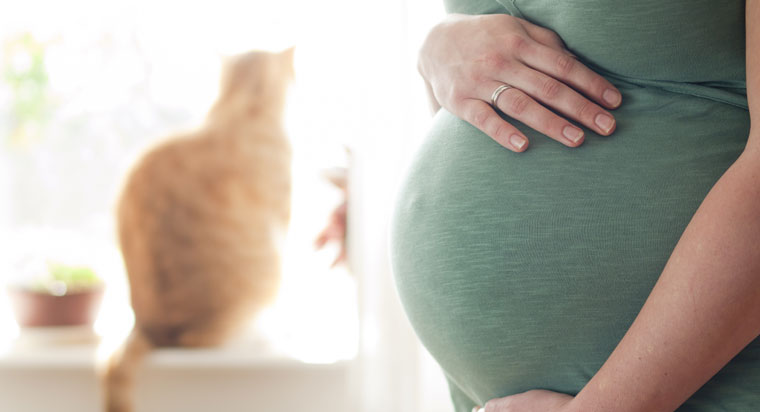 Pregnant-Toxoplasmosis-760
