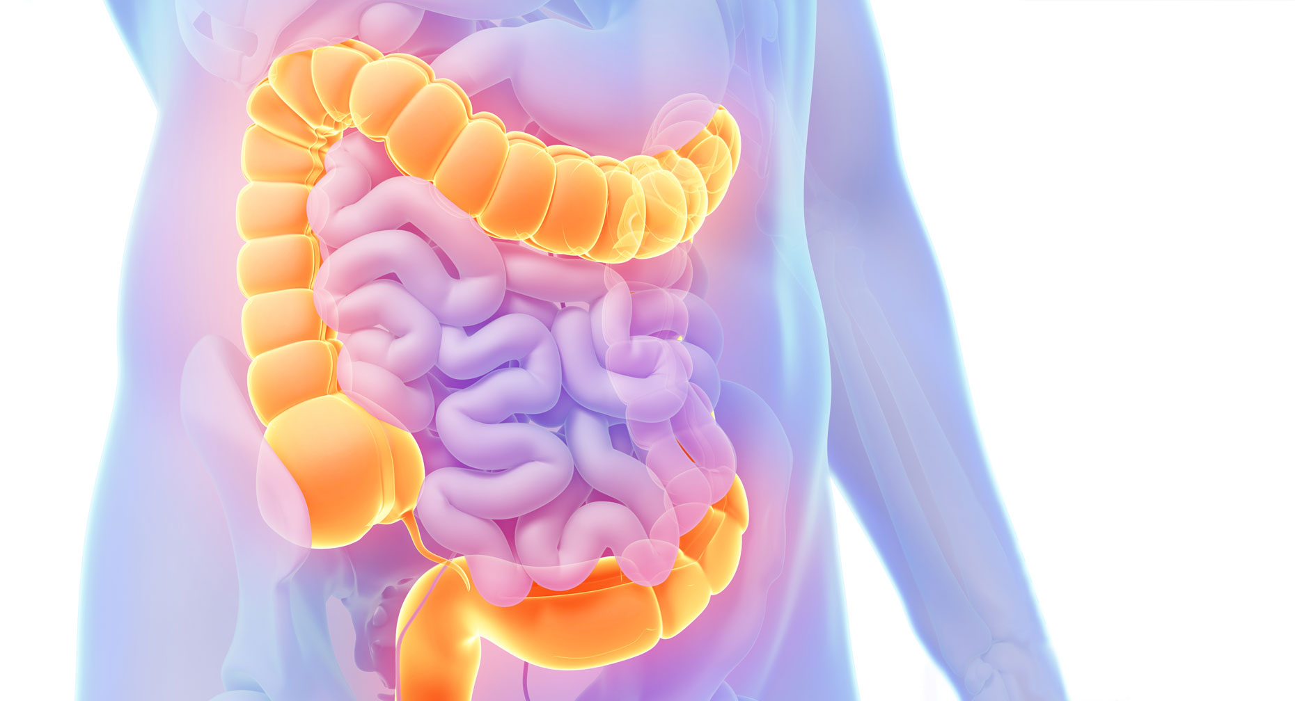 How to effectively deal with polyps How to effectively deal with polyps